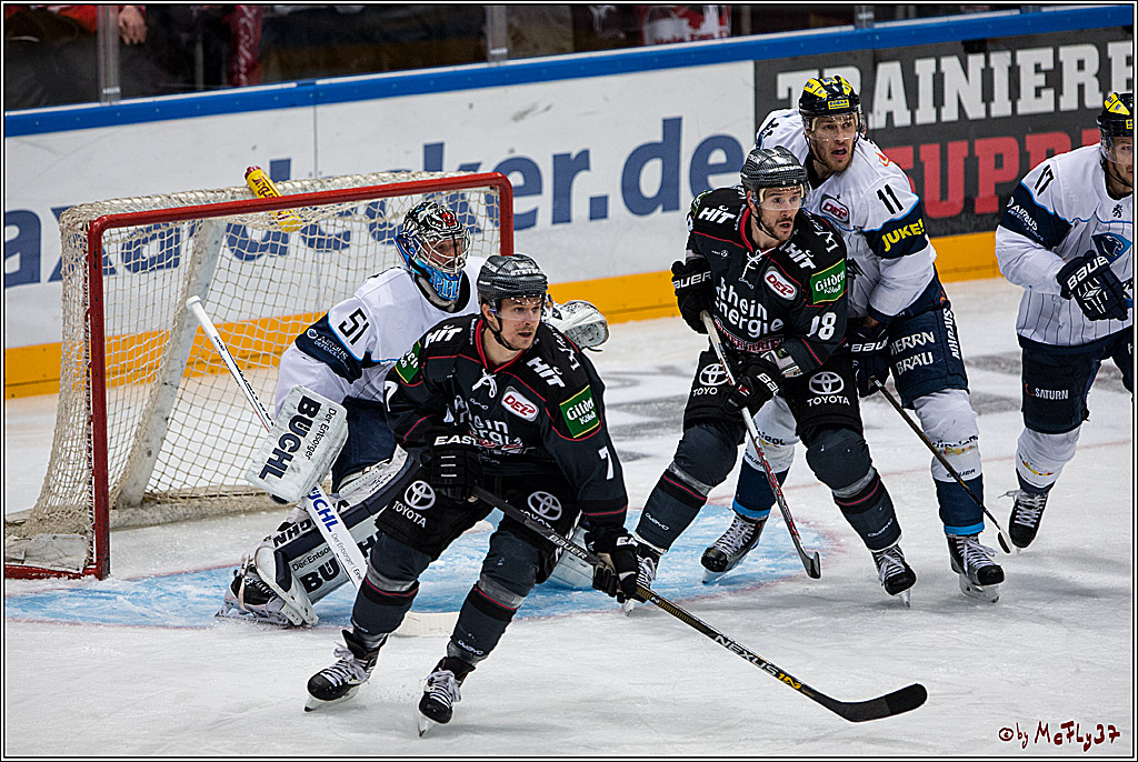 Koelner Haie - ERC Ingolstadt, 23.10.2016